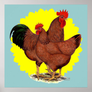 Productie Red Sunburst Poster