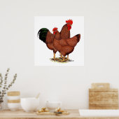 Productie Rode kippen Poster (Keuken)