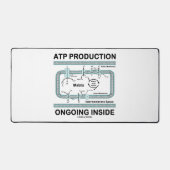 Production d'ATP en cours à l'intérieur de la mito (Recto)