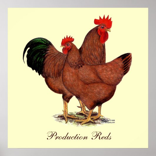 Production Red Chickens Poster (Voorkant)