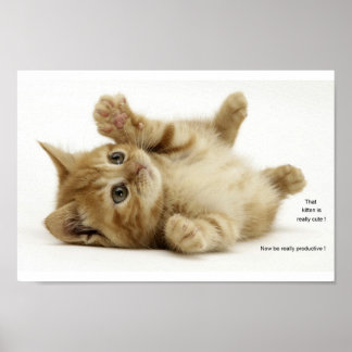 Productivity Kitten (Kitteh) Poster