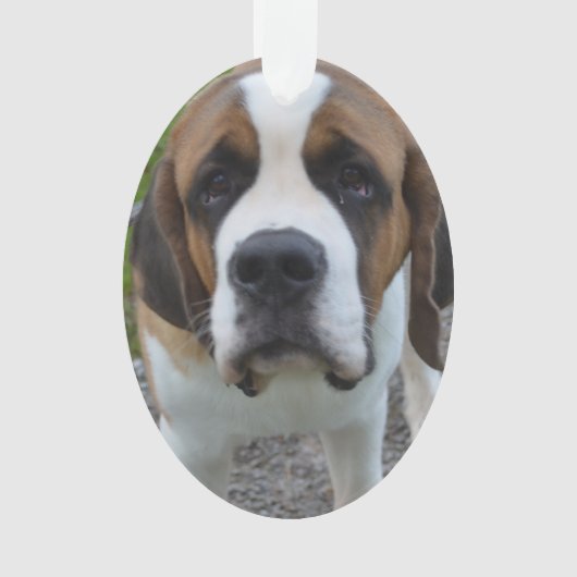 Produit de personnaliser (devant)