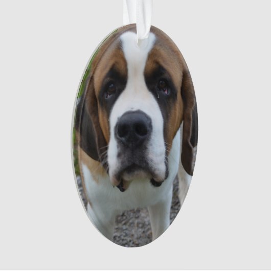 Produit de personnaliser (devant)