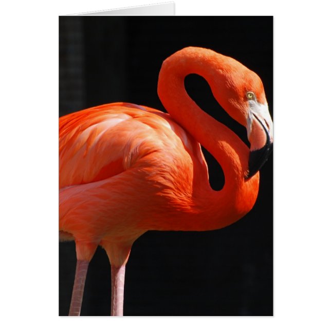 Produit de personnaliser (Devant)