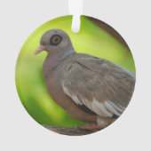 Produit de personnaliser (dos)