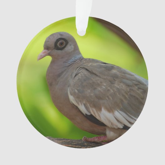 Produit de personnaliser (devant)