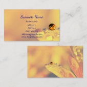 Produits d'huile essentielle Carte de visite perso (Devant / Derrière)