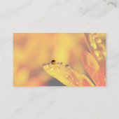 Produits d'huile essentielle Carte de visite perso (Dos)