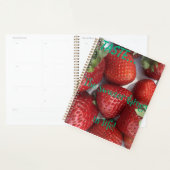 Proef de zoete dingen... planner (Display)