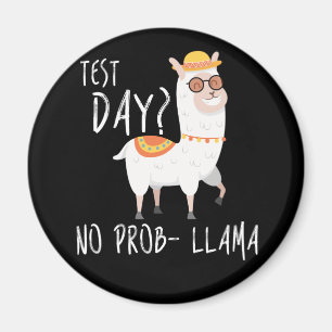Proefdag geen Prob Llama-leerlingexamen Magneet