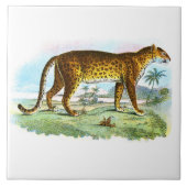  proefdier Leopard Tegeltje (Voorkant)