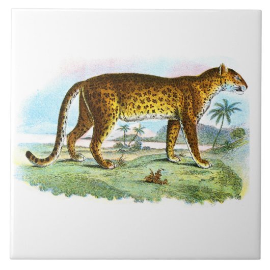  proefdier Leopard Tegeltje (Voorkant)