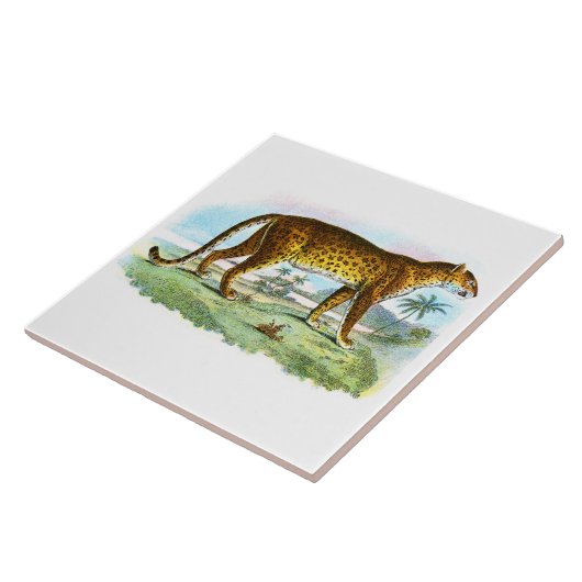  proefdier Leopard Tegeltje (Zijkant)