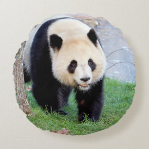 Proeffotogigant panda. rond kussen