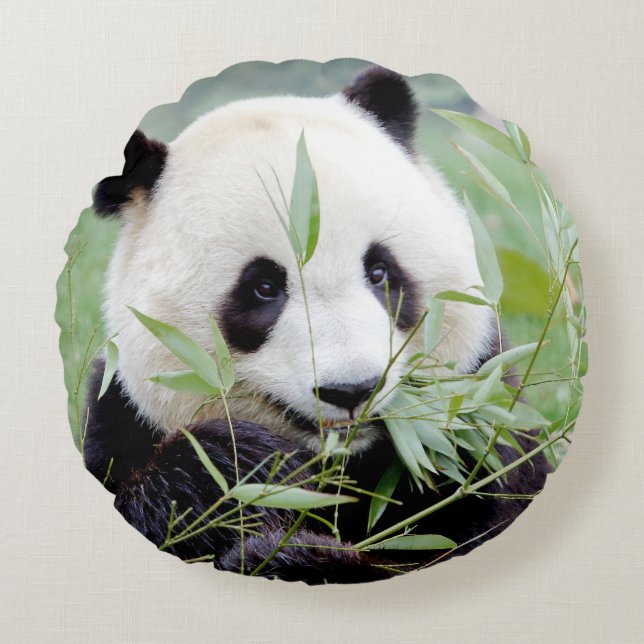 Proeffotogigant panda. rond kussen (Voorkant)