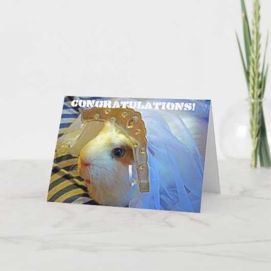 proefkonijn met een sluier kaart (Voorkant)