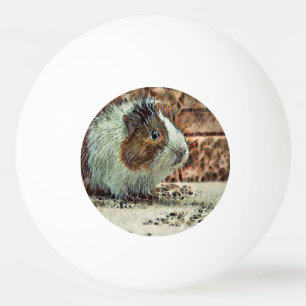 proefkonijn pingpongballen
