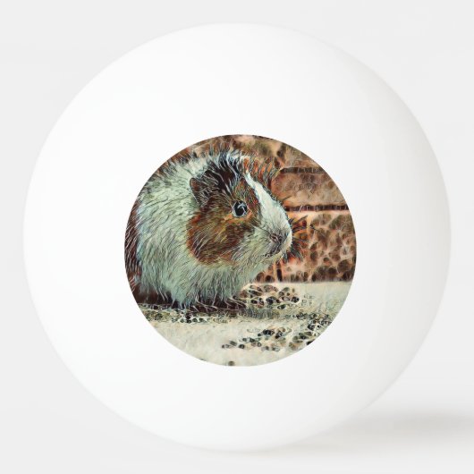 proefkonijn pingpongballen (Voorkant)