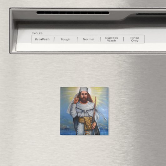 Profeet Zarathustra magneet (Insitu (Vaatwasser))