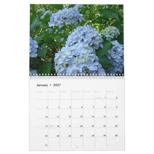 Professeur de calendrier de fougères de roses (Jan 2027)