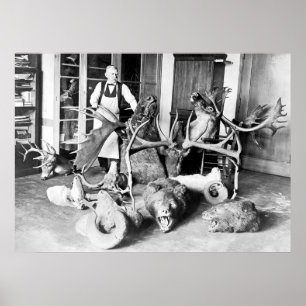 Professional Taxidermist: 1923 Poster