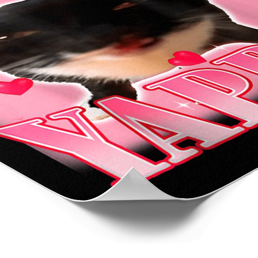 Professional Yapper Cat Funny Oddly Specific Dank  Poster (Hoek)