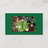 Professioneel bedrijf, adres, telefoon, website visitekaartje (Achterkant)