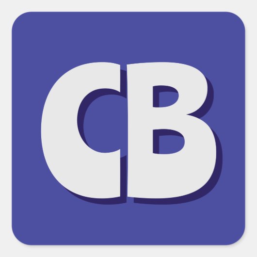 Professionele moderne minimalistische Initialen vo Vierkante Sticker (Voorkant)