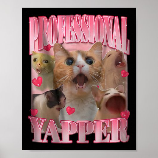 Professionele Yapper Kat Grappig Vreemd Specifiek  Poster (Voorkant)
