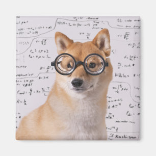 Professor Barkley 2 Inch Square Magnet Magneet
