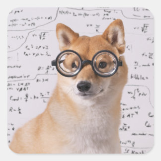 Professor Barkley Square Sticker (glanzend)