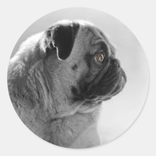 Profiel invoegen ronde sticker