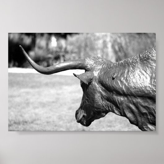 Profiel Longhorn Poster (Voorkant)