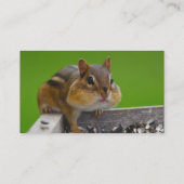 profiel of visitekaartje, chipmunk visitekaartje (Achterkant)