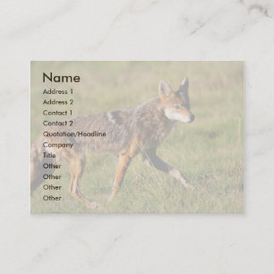 profiel of visitekaartje, coyote visitekaartje