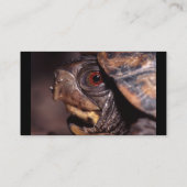 profiel of visitekaartje, schildpad visitekaartje (Achterkant)