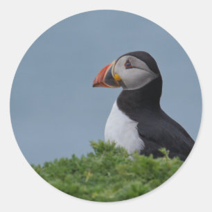 Profiel Puffin Ronde Sticker