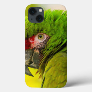 Profiel van ara bij de Santa Barbara Zoo iPhone 13 Hoesje