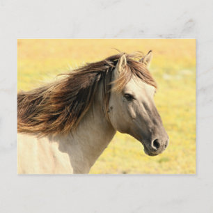 Profiel van beige paarden briefkaart