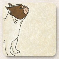 Profiel van de Franse Bulldog die omhoog kijkt