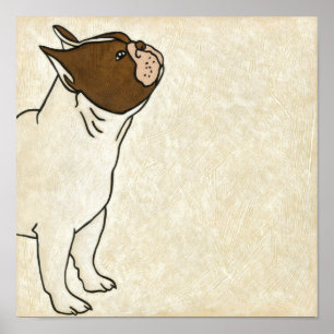 Profiel van de Franse Bulldog die omhoog kijkt Poster