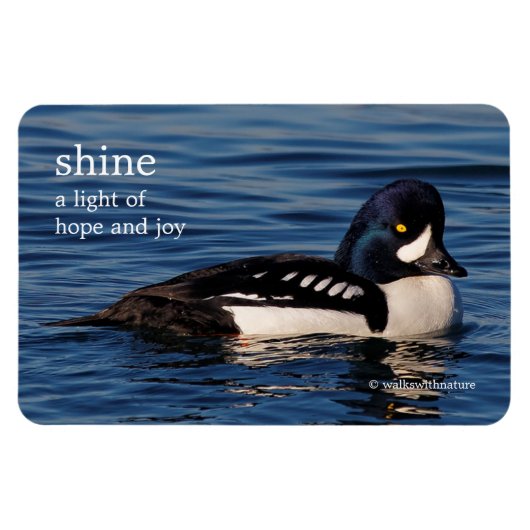 Profiel van de Goldenoog van Barrow Magneet (Horizontaal)