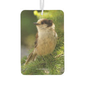 Profiel van een Cute Gray Jay / Whiskeyjack Luchtverfrisser (Achterkant)