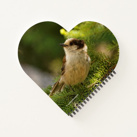 Profiel van een Cute Gray Jay / Whiskeyjack Notitieboek (Achterkant)
