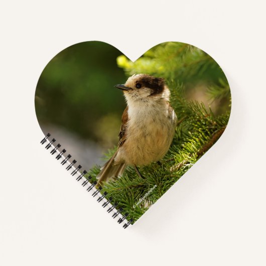 Profiel van een Cute Gray Jay / Whiskeyjack Notitieboek (Voorkant)