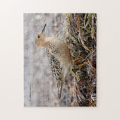 Profiel van een doorgeslagen Sandpiper in het stra Legpuzzel (Verticaal)