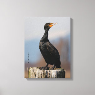 Profiel van een dubbelkuif-aalscholver canvas afdruk