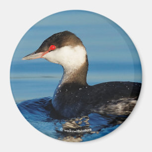 Profiel van een Gehoornde Grebe Magneet