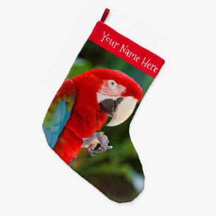 Profiel van een groene Macaw Bird Grote Kerstsok