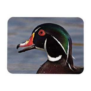 Profiel van een Houten eend Magneet
